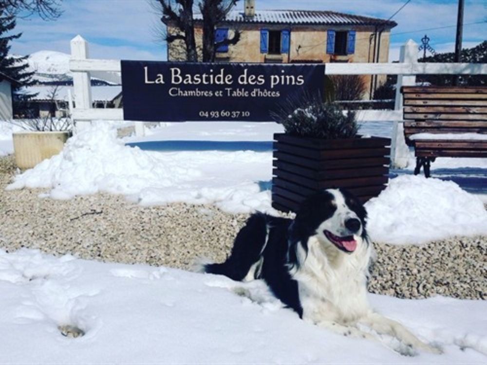 Hotel La Bastide des Pins Exterior foto
